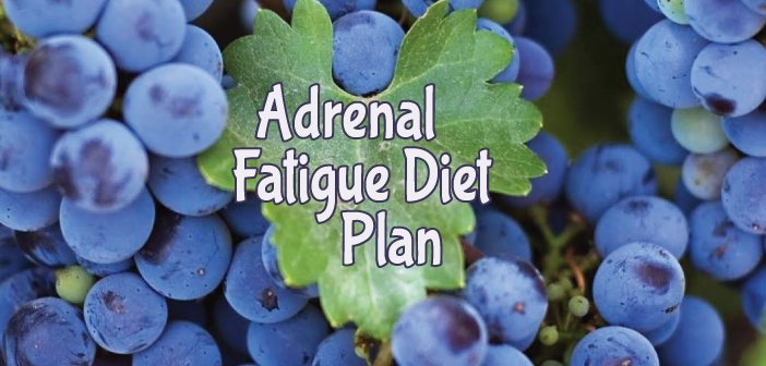 Adrenal Gland Insufficiency Diet