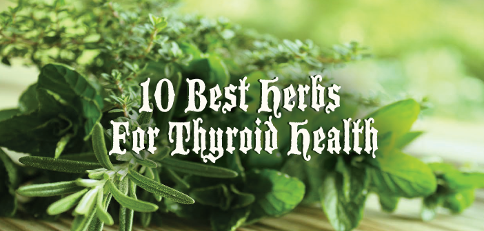 10-Best-Herbs-for-Thyroid-Health