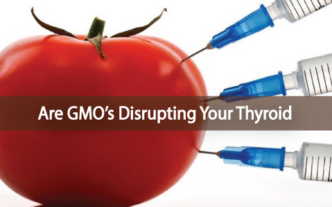 The-Impact-of-GMO's-on-Thyroid-Health