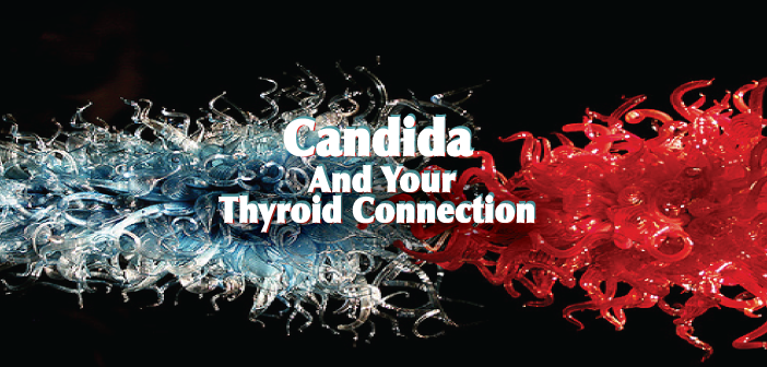 Is-There-A-Connection-Between-Thyroid-and-Candida
