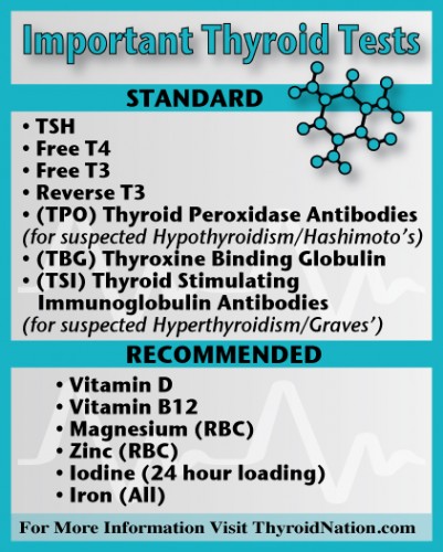Important-Thyroid-Blood-Test-To-Do-Thyroid-Nation