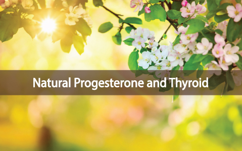 The-Relationship-Between-Natural-Progesterone-and-Thyroid-Health