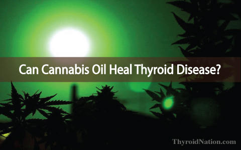 Cannabis Oil Healed This Woman's Inoperable Mass And Thyroid Disease