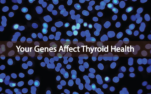 Is-There-A-Link-Between-Thyroid-Health-And-The-MTHFR-Gene