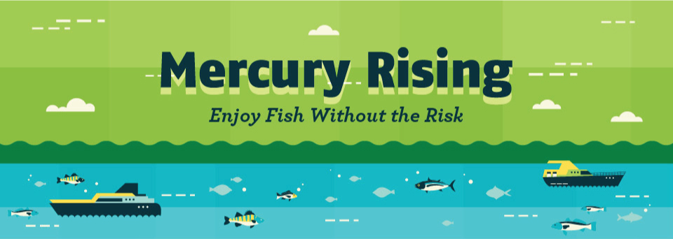 Edible-Fish-Infographic-Mercury-Is-An-Endocrine-Disruptor