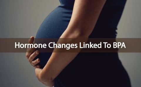 Thyroid-Hormone-Changes-In-Pregnancy-Linked-To-BPA