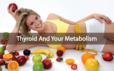 How-Your-Metabolism-Works-With-Your-Thyroid
