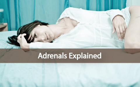 The-Adrenals-Adrenal-Fatigue-and-Remedies-Explained