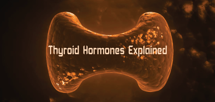 T4-T3-T2-and-T1-Your-Thyroid-Hormones-Explained