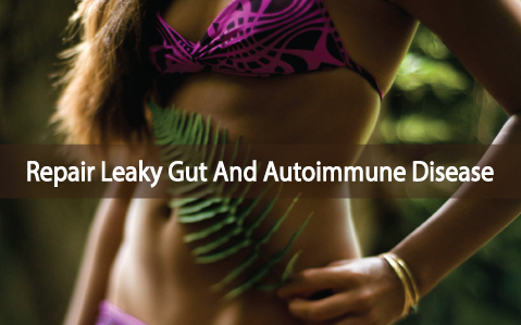 Guide-To-Healing-Autoimmune-Disease-And-Leaky-Gut