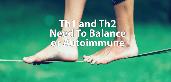 Th1-Th2-And-The-Connection-To-A-Balanced-Immune-System
