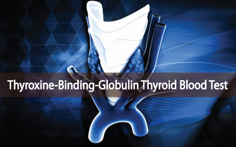 What-Is-A-TBG-Thyroid-Test-And-Do-I-Need-To-Have It-Done