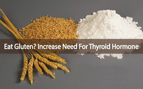 The-Need-For-Thyroid-Hormones-Increases-By-Eating-Gluten
