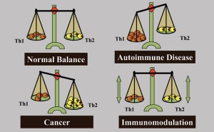 Th1-Th2-And-The-Connection-To-A-Balanced-Immune-System-thyroid-nation