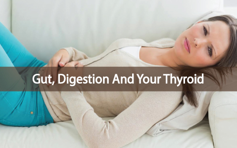 Digestion-Gut-And-Their-Connection-To-A-Balanced-Thyroid