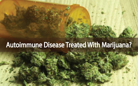 Medical-Marijuana-Can-Help-Heal-Autoimmune-Diseases