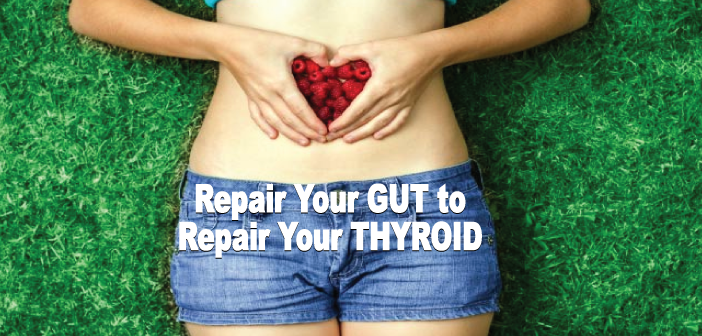 Want-To-Repair-Your-Thyroid-You-Need-To-Heal-Your-Gut