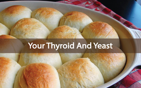 The-Relationship-Between-Your-Thyroid-And-Yeast