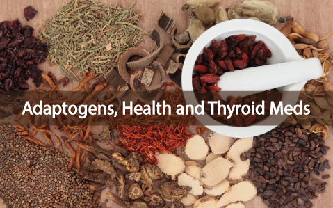 Adaptogenic-Herbs-And-Their-Interaction-With-Medications
