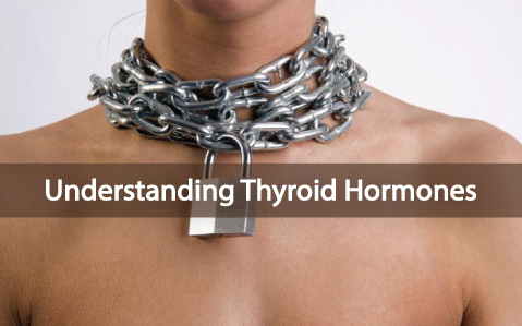 Understanding-he-Thyroid-Hormone-And-Your-Thyroid
