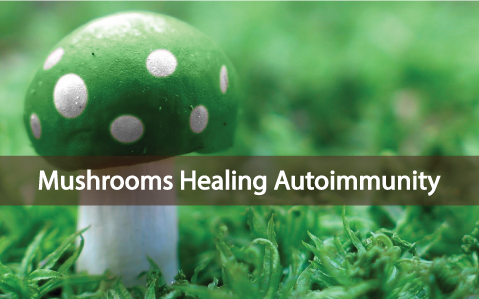 Can-Certain-Mushrooms-Help-Heal-Your-Immune-System
