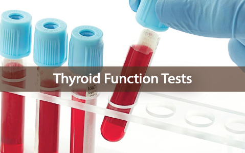 What-Are-Thyroid-Function-Tests-And-Which-Do-You-Need