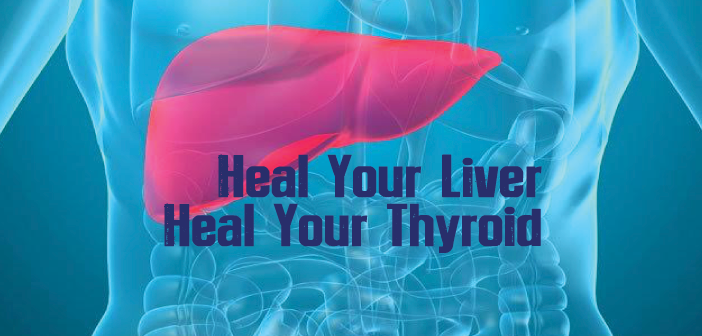 Healing Your Liver Can Heal Your Thyroid