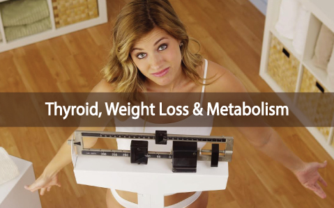 Metabolism-Weight-Loss-And-The-Thyroid-As-The-Master-Controller