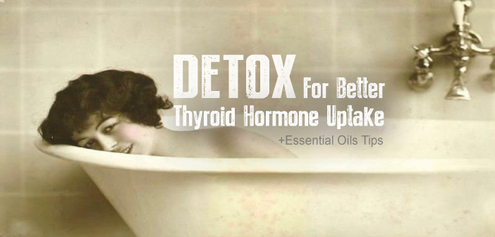 Detox-EDC's-Interfere-With-Cellular-Uptake-Of-Thyroid-Hormone