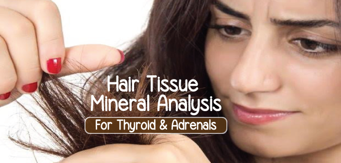 Healing-Thyroid-And-Adrenals-With-Hair-Tissue-Mineral-Analysis