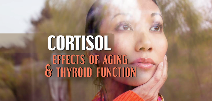 Effects-Of-Cortisol-On-Thyroid-Function-and-Aging