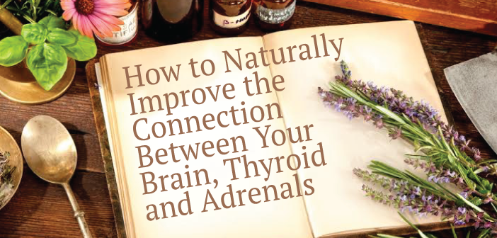 Naturally-Improving-The-Brain-Thyroid-And-Adrenal-Connection