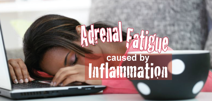 Is-Adrenal-Fatigue-Caused-By-Inflammation