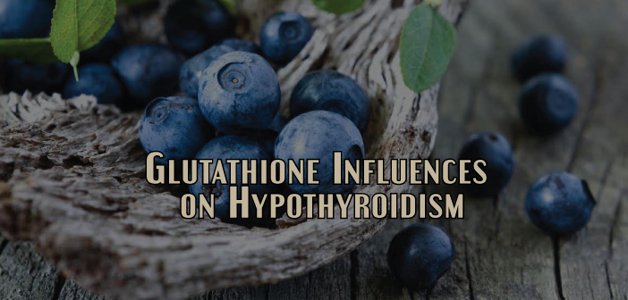 Glutathione-Major-Factor-Influencing-The-T4-To-T3-Conversion