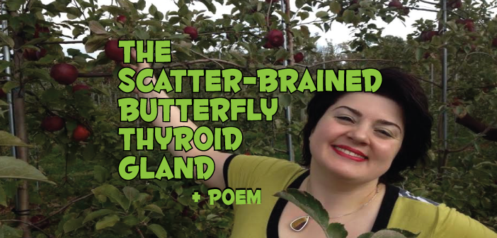 The-Scatter-Brained-Butterfly-Thyroid-Gland