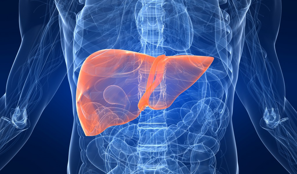 Healing-Your-Liver-Thyroid-Nation