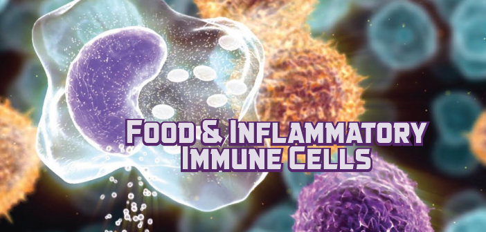 What-Happens-To-Immune-Cells-And-Food-That-Causes-Inflammation