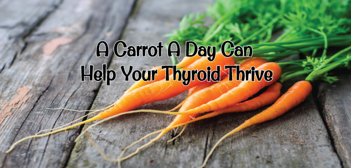 How-A-Carrot-A-Day-Can-Help-Your-Thyroid-Thrive