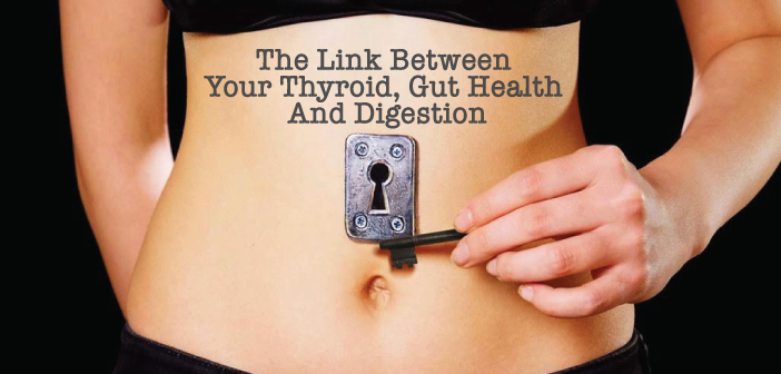 The-Link-Between-Your-Thyroid-Gut-Health-And-Digestion